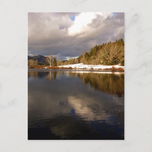 Little Long Pond in winter Briefkaart (Voorkant)