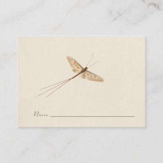 Little Love Bug Baby shower Behuizing Kaart (Achterkant)