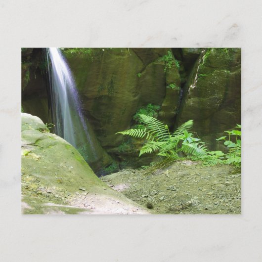 Little Lyons Herfsten, Mohican State Park, Ohio Briefkaart (Voorkant)