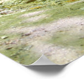 Little Lyons Herfsten, Mohican State Park, Ohio Poster (Hoek)