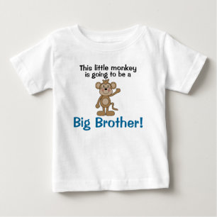 Little Monkey Big Brother