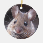 Little Mouse Ornament (Voorkant)