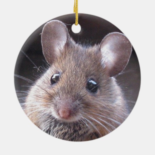 Little Mouse Ornament (Achterkant)