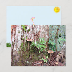 Little Mushrooms Briefkaart