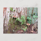 Little Mushrooms Briefkaart (Voorkant)