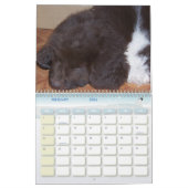 Little Newfie Girl Kalender (Feb 2026)