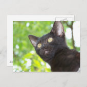 Little Nitt zoekend Briefkaart (Voorkant / Achterkant)