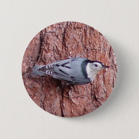 Little Nuthatch Bird Button (Voorkant)