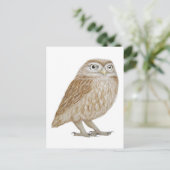 Little Owl 2011 Briefkaart (Staand voorkant)