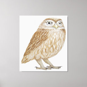 Little Owl 2011 Canvas Afdruk