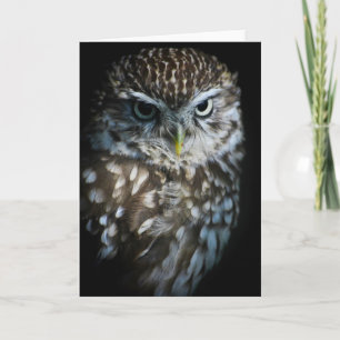 Little Owl Greetings Card Kaart