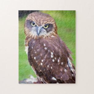 Little Owl Jigzaag puzzle Legpuzzel