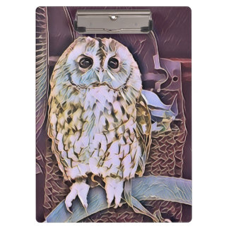 LITTLE OWL KLEMBORD