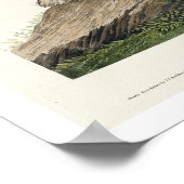 Little Owl par Audubon Poster (Coin)