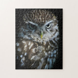 Little Owl Puzzle Legpuzzel