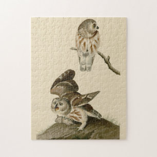 Little Owl (Saw-whet) Audubon's Birds of America Legpuzzel