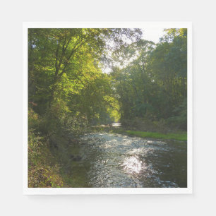 Little Patuxent rivier vanuit Savage Park Servet