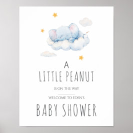 Little Peanut Baby shower Sign – Meisje Poster