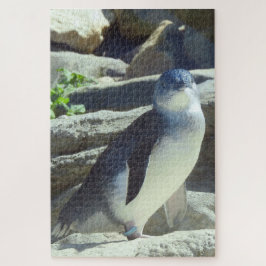Little Penguin Legpuzzel