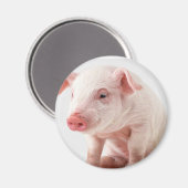 Little Pig Magneet (Voorkant / Achterkant)