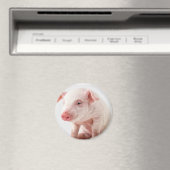 Little Pig Magneet (Insitu (Vaatwasser))