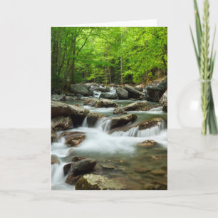 Little Pigeon River bij Greenbrier Kaart