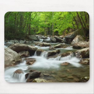Little Pigeon River bij Greenbrier Muismat