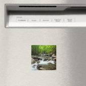 Little Pigeon River van Greenbrier Magneet (Insitu (Vaatwasser))