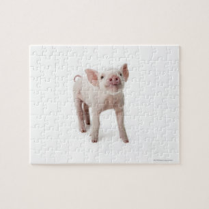 Little Piglet Legpuzzel