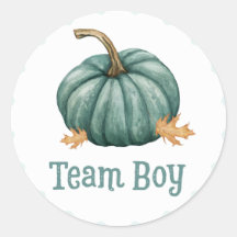 Little Pumpkin Gender Team Boy onthult Stickers
