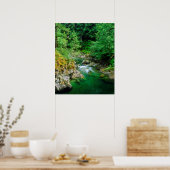 Little Qualicum-rivier Poster (Keuken)