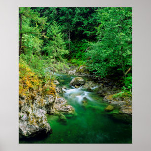Little Qualicum-rivier Poster