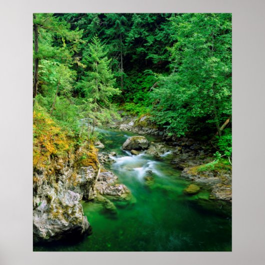 Little Qualicum-rivier Poster (Voorkant)