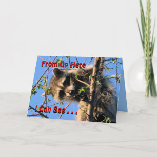 Little Racoon N'importe quelle carte d'occasion-pe