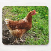 Little Red Chicken - Free Range Egg Layer Muismat (Voorkant)