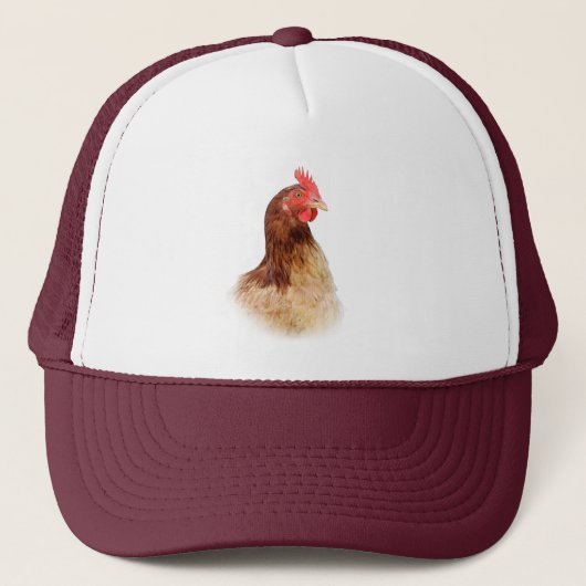 Little Red Hen Pet (Voorkant)