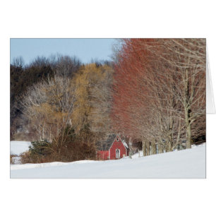 Little Red House