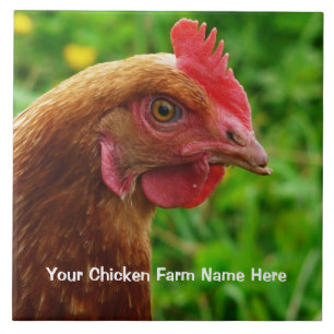 Little Red Laying Hen - RIR of ISA Brown Chicken Tegeltje