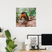Little Robin Poster (Thuiskantoor)