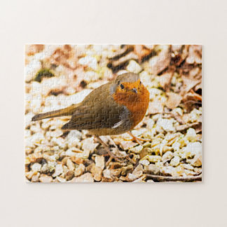 Little Robin Redborst Legpuzzel