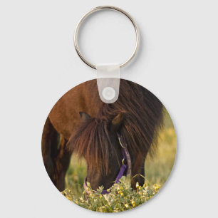 Little Sharni Shetland Pony Sleutelhanger