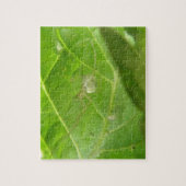 Little Spider Puzzle (Vertical)