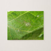 Little Spider Puzzle Legpuzzel (Horizontaal)