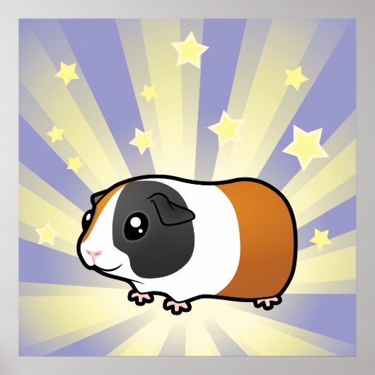 Little Star Guinee Pig (glad haar) Poster (Voorkant)