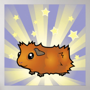 Little Star Guinee Pig (scruffy) Poster