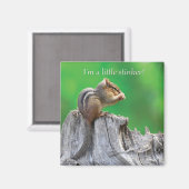 Little Stinker Magneet (Voorkant / Achterkant)