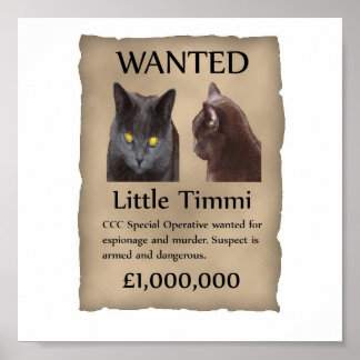 Little Timmi wilde poster