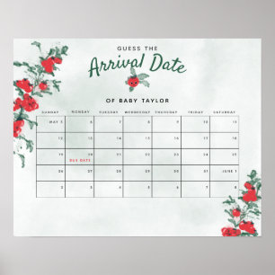 Little Tomato Rustic Girl Baby shower Guess Datum Poster