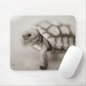 Little Tortoise Muismat (Met muis)