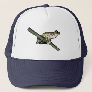 Little Tree Frog Huile Peinte, Casquette de Camion